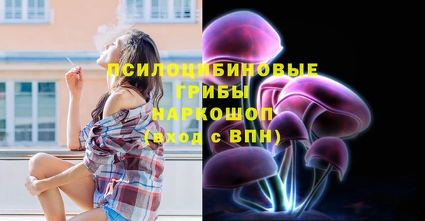 соль ск Абдулино