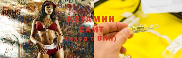 эйфоретик Пересвет