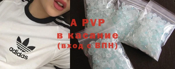 эйфоретик Пересвет