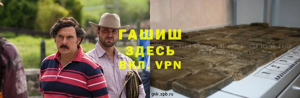 молекула духа Пестово