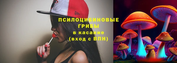бошки Дмитриев