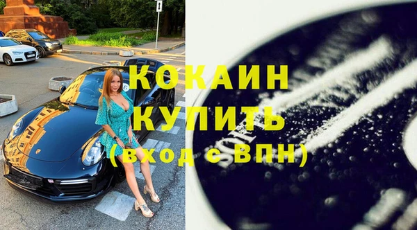 молекула духа Пестово