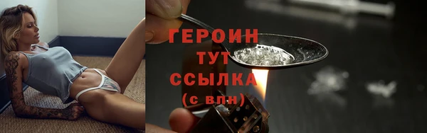 прущие грибы Абаза