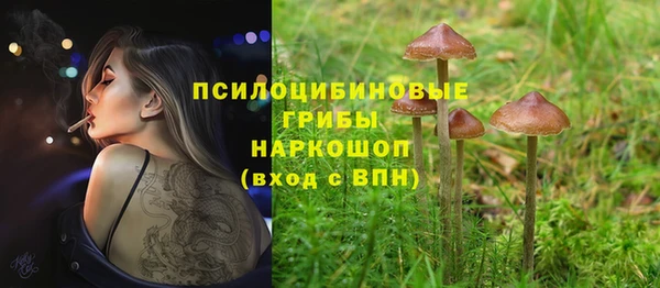соль ск Абдулино