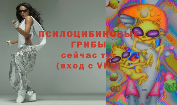 молекула духа Пестово