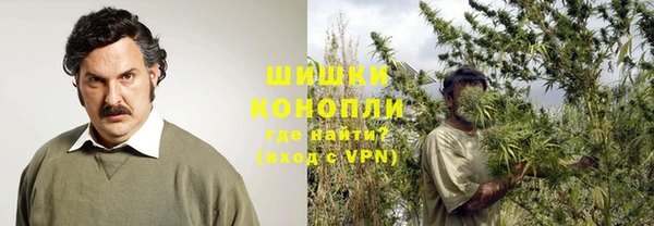 эйфоретик Пересвет