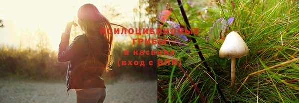 гидра Переславль-Залесский