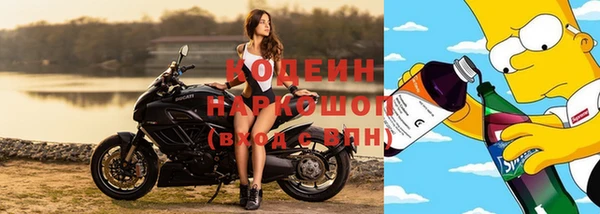 прущие грибы Абаза