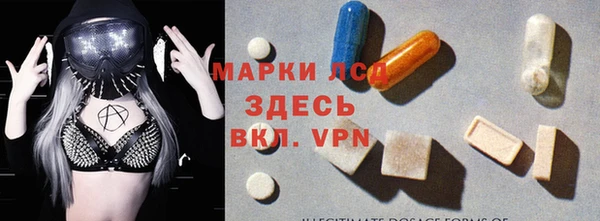прущие грибы Абаза