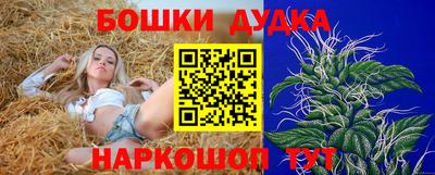 apvp Краснознаменск