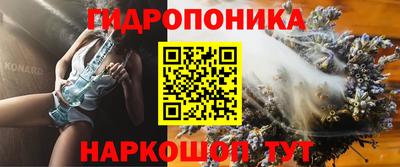 apvp Краснознаменск