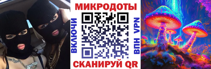 Галлюциногенные грибы MAGIC MUSHROOMS  даркнет сайт  Камень-на-Оби 